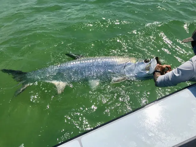 Fishing with Capt. Jesse Register, photo 14