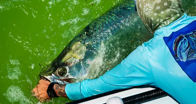 Fishing with Capt. Jesse Register, photo 1