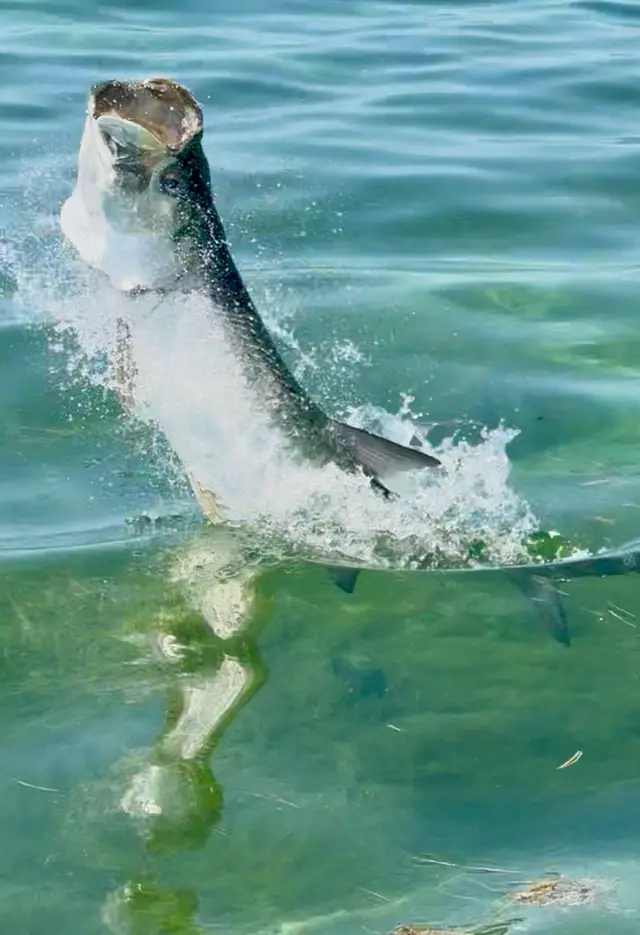 Fishing with Capt. Jesse Register, photo 13