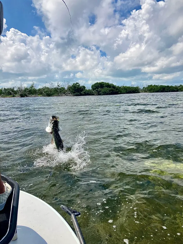 Fishing with Capt. Jesse Register, photo 8