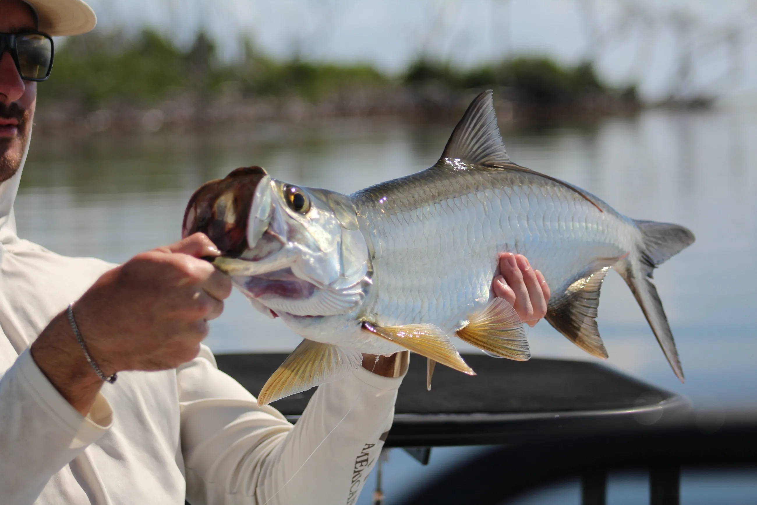 Angler holding a juvenile tarpon caught in the backcountry